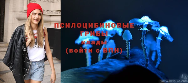 молекула духа Абинск