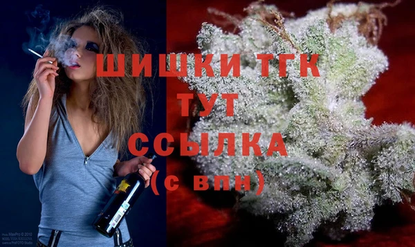молекула духа Абинск