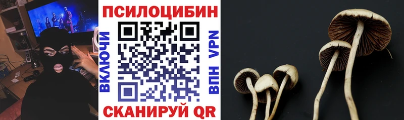 Псилоцибиновые грибы MAGIC MUSHROOMS  продажа наркотиков  Юрга 