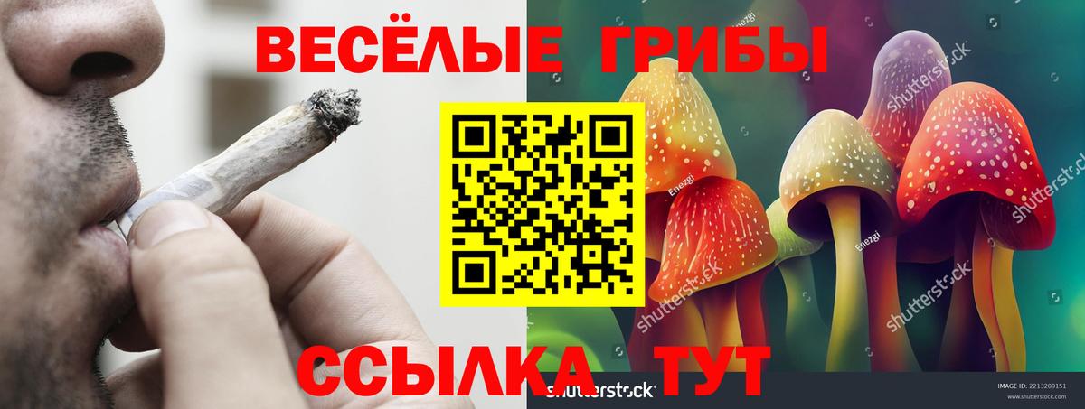 Галлюциногенные грибы мицелий  Вход с VPN  наркота  Юрга 